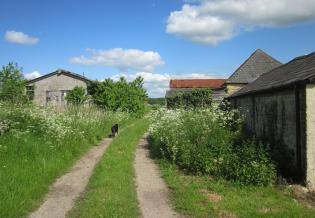 Public Footpath Route to Donkey Meadow Article Photo - Photo 3