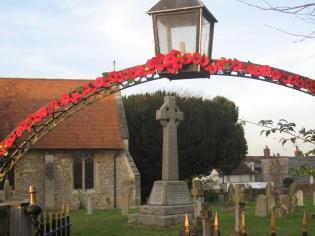 Remembrance Poppies Article Photo - 