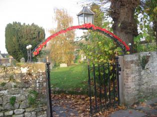 Remembrance Poppies Article Photo - 