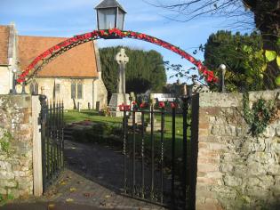 Remembrance Poppies Article Photo - 