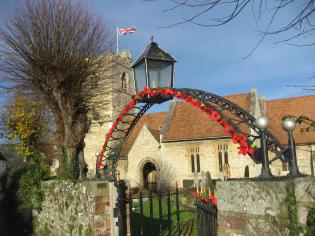 Remembrance Poppies Article Photo - 
