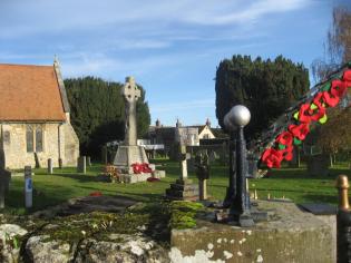 Remembrance Poppies Article Photo - 