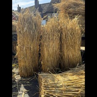 The Community Pub Questionnaire Article Photo - 