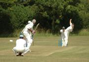 Banner Photo -  -  1288442984.jpg