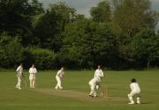 Banner Photo -  -  1288443029.jpg