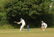 Banner Photo -  -  1288443138.jpg
