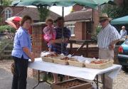 Banner Photo -  -  1288533458.jpg