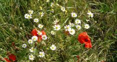 Banner Photo -  -  1319641231.jpg