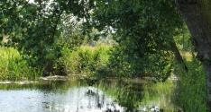 Banner Photo -  -  1319641252.jpg