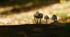 Banner Photo -  -  1319641257.jpg