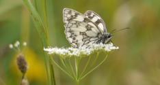 Banner Photo -  -  1319641261.jpg