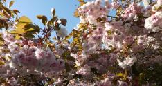 Banner Photo -  -  1319641308.jpg