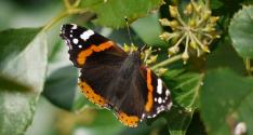 Banner Photo -  -  1319641311.jpg