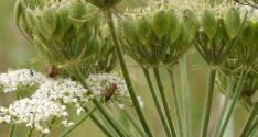 Banner Photo -  -  1319641319.jpg