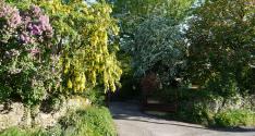 Banner Photo -  -  1319641359.jpg