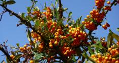 Banner Photo -  -  1319709550.jpg