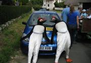 Banner Photo -  -  1325187872.jpg