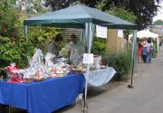 Banner Photo -  -  1325187974.jpg