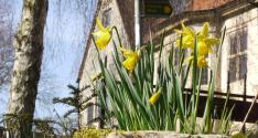 Banner Photo -  -  1330466999.jpg