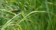Banner Photo -  -  1339068725.jpg