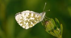 Banner Photo -  -  1339068728.jpg