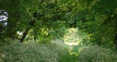 Banner Photo -  -  1339068819.jpg