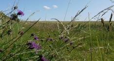 Banner Photo -  -  1369071345.jpg