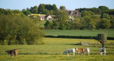 Banner Photo -  -  1369071371.jpg