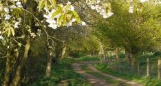 Banner Photo -  -  1369071394.jpg