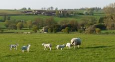 Banner Photo -  -  1369071398.jpg
