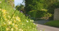 Banner Photo -  -  1369590830.jpg