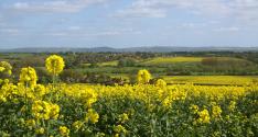 Banner Photo -  -  1397760120.jpg