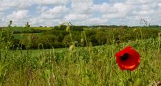 Banner Photo -  -  1402335428.jpg