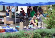 Banner Photo -  -  1406486154.jpg