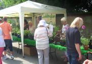 Banner Photo -  -  1406573652.jpg