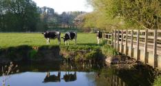 Banner Photo -  -  1430763907.jpg