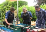 Banner Photo -  -  1472984206.jpg