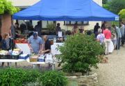 Banner Photo -  -  1472984450.jpg