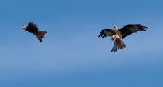 Banner Photo -  -  1524916814.jpg
