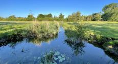 Banner Photo -  -  1623670831Footpaths-34.jpg.jpg