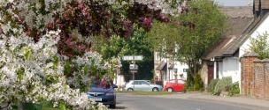 Banner Photo - May blossom at the approach to the village cross-roads from Dadbrook -  1711712139Spring-11.jpg.jpg