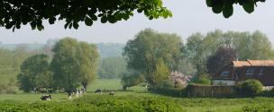 Banner Photo - Looking north from the footpath behind Tyringham Hall -  1711712140Spring-12.jpg.jpg