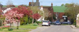 Banner Photo - May blossom in Dadbrook -  1711712140Spring-18.jpg.jpg