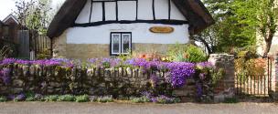 Banner Photo - The Thatched Cottage -  1711712140Spring-33.jpg.jpg