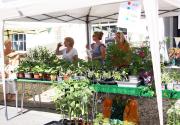Banner Photo -  -  1752513599Fete-2025-13.jpg.jpg