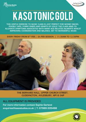 Physical Activity Programme for Older Adults Article Graphic