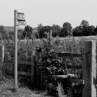 Footpaths and Wildlife Strips: an important request for action by walkers and riders Article Graphic