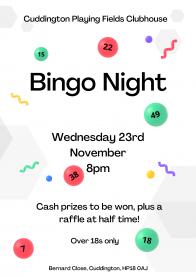 Bingo Wednesday 23rd November Article Graphic