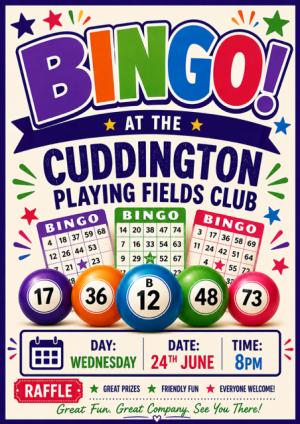 Bingo Night! Article Graphic