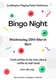 Bingo Night! Article Graphic